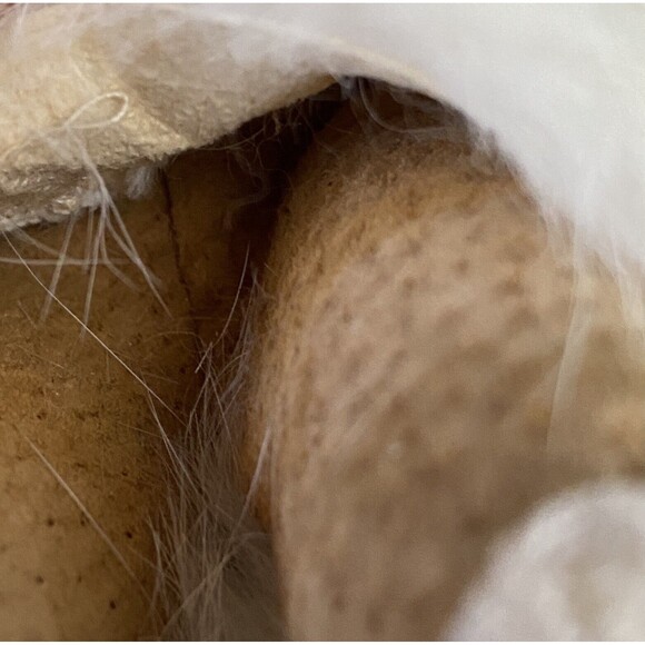 Vintage Inuit Doll Native‎ American Eskimo Fur Hooded Parka Sleeping Eyes 11" - Picture 5 of 5